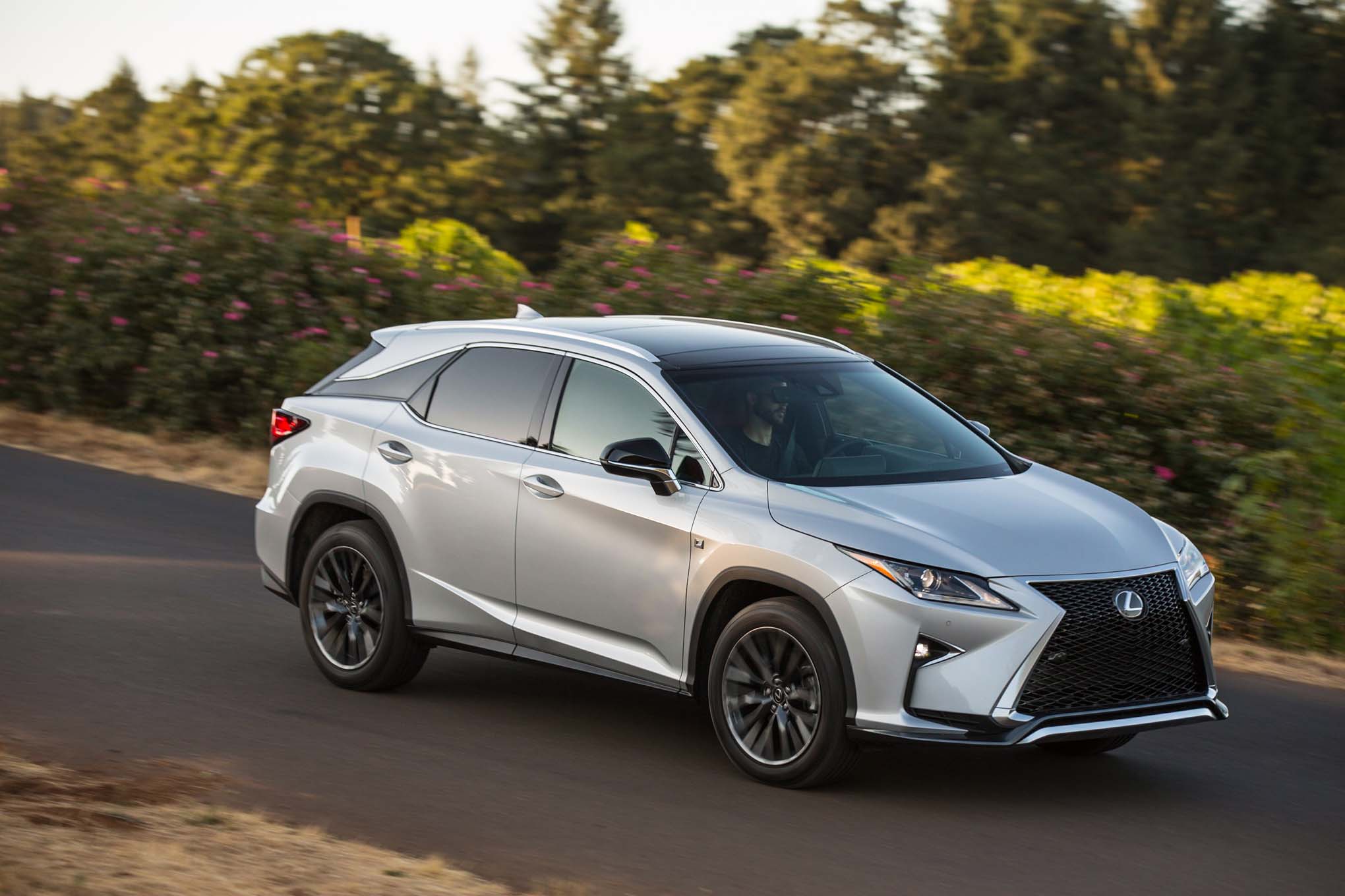 2017 Lexus RX 350 2017 Lexus RX 350